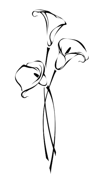 Calla Lily